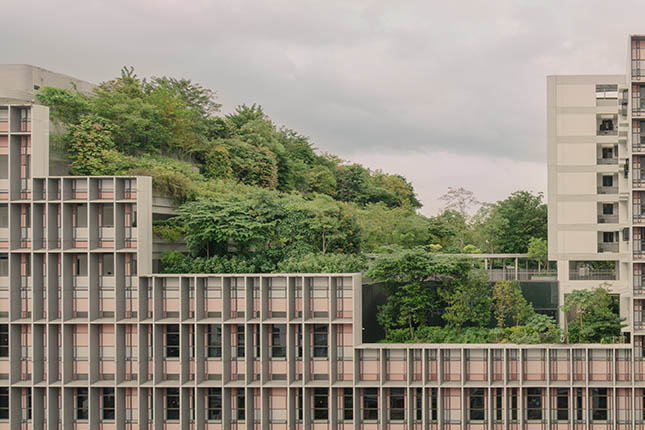<em>Photo by Khoo Guo Jie</em>